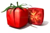 tomatoes